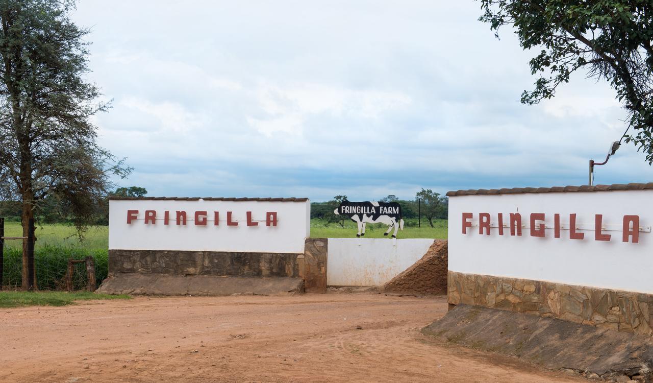 Fringilla Lodge Chisamba 外观 照片