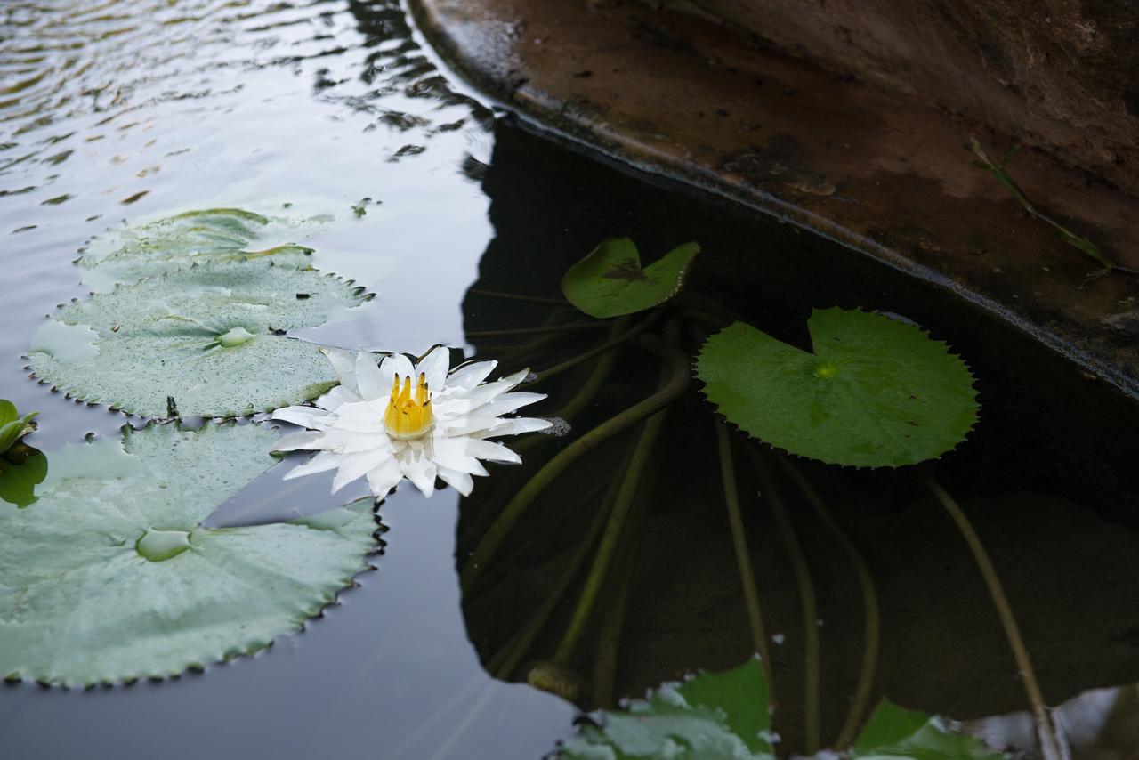 Fringilla Lodge Chisamba 外观 照片