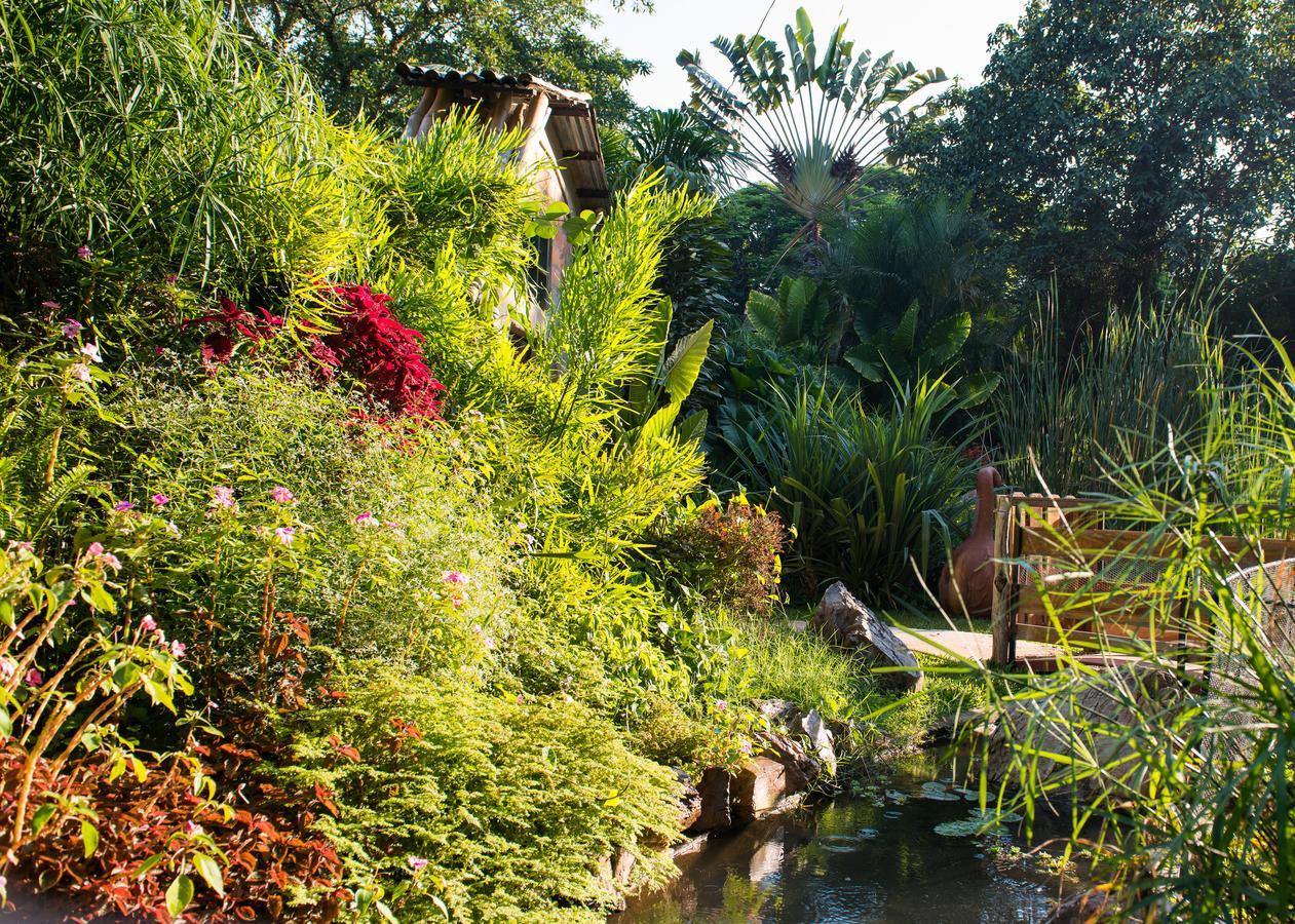 Fringilla Lodge Chisamba 外观 照片