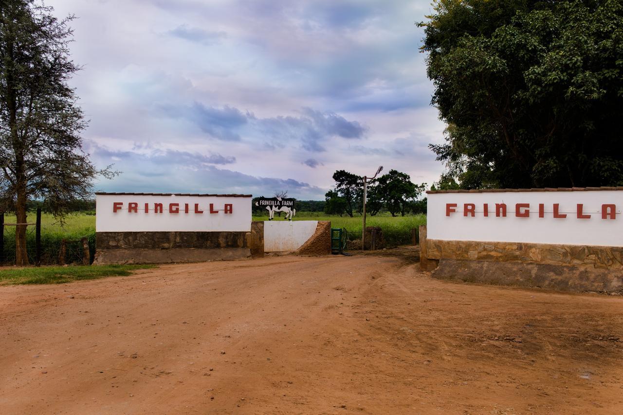 Fringilla Lodge Chisamba 外观 照片